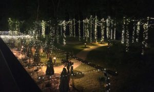 Garden decorated with lights